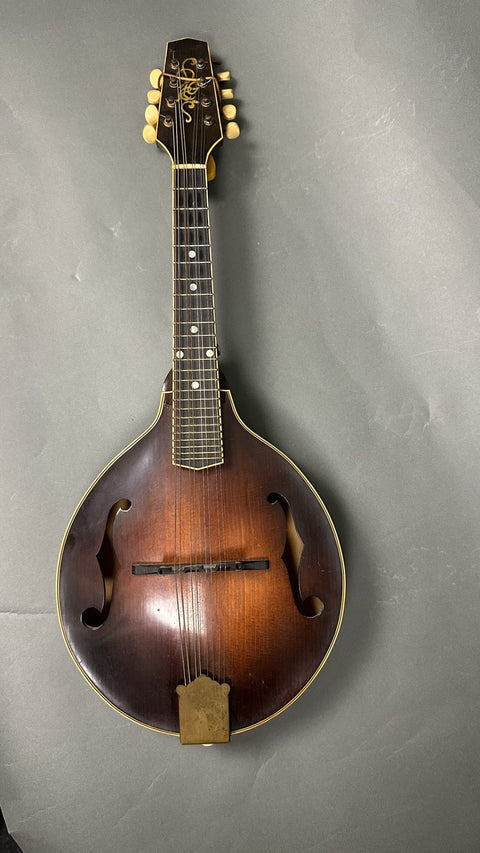 Vintage 1980s R.L Givens A50 A-Style Mandolin - 